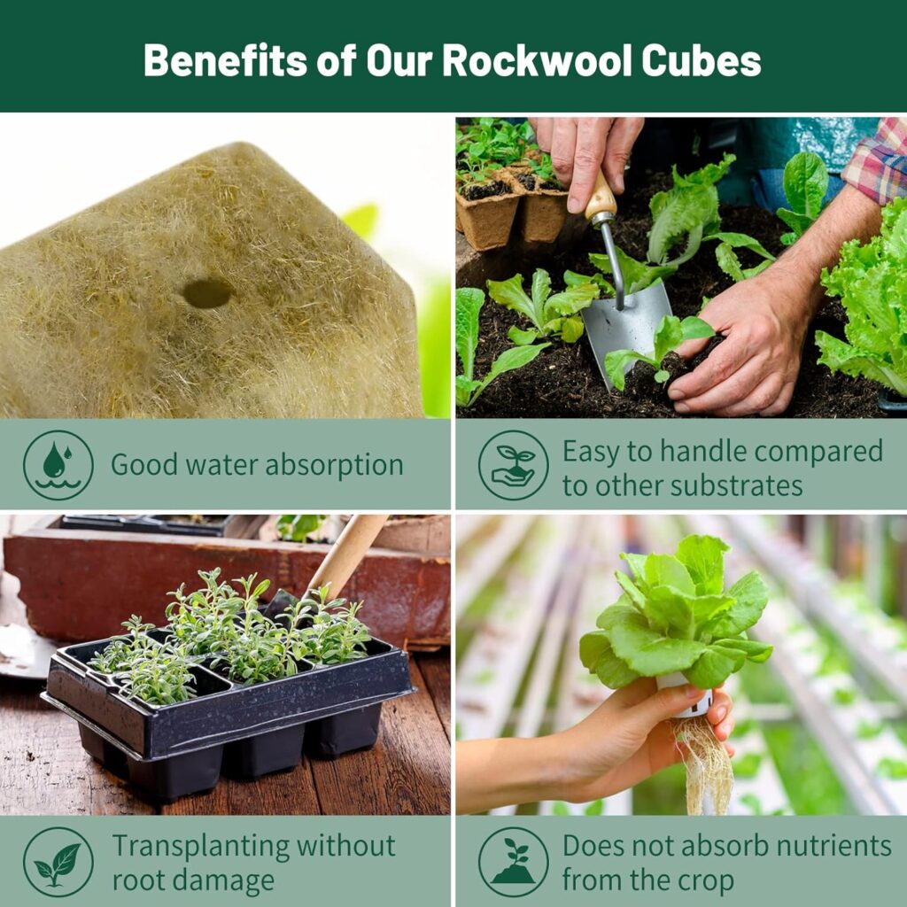 Rockwool: A High-Efficiency Medium for Cannabis Cultivation