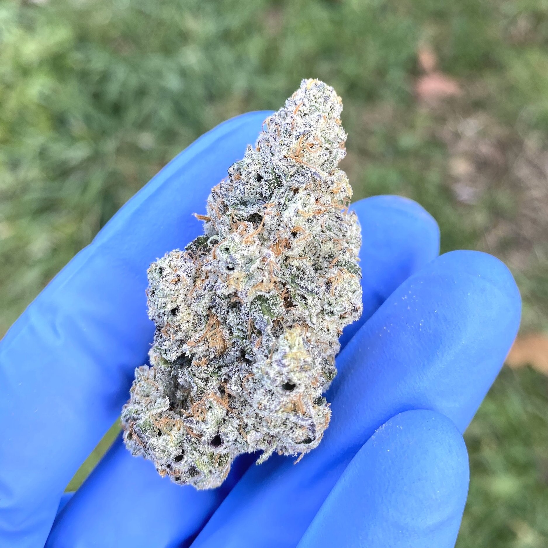 a pile of marijuana buds sitting on top of a white table