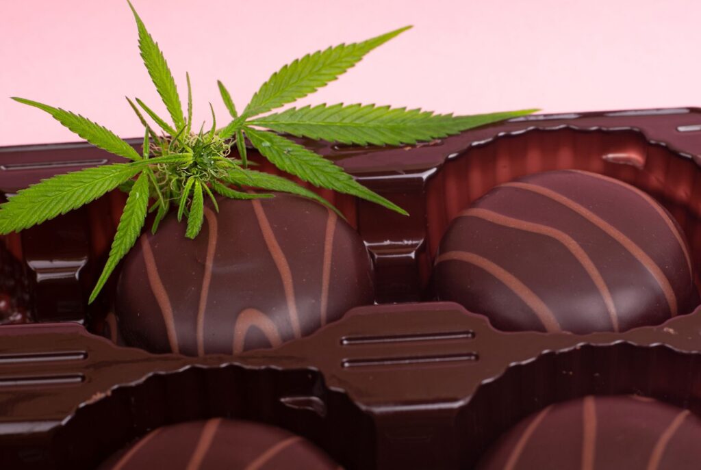 Homemade chocolate sweets with marijuana or cannabis leaf garnish. Alternative medicine concept.