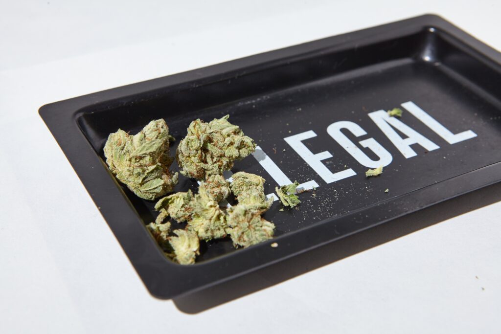 cannabis flower on illegal rolling tray 2023 11 27 04 55 10 utc