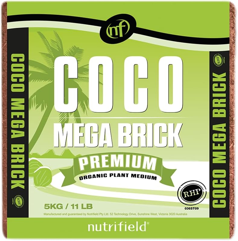 coco brick 1