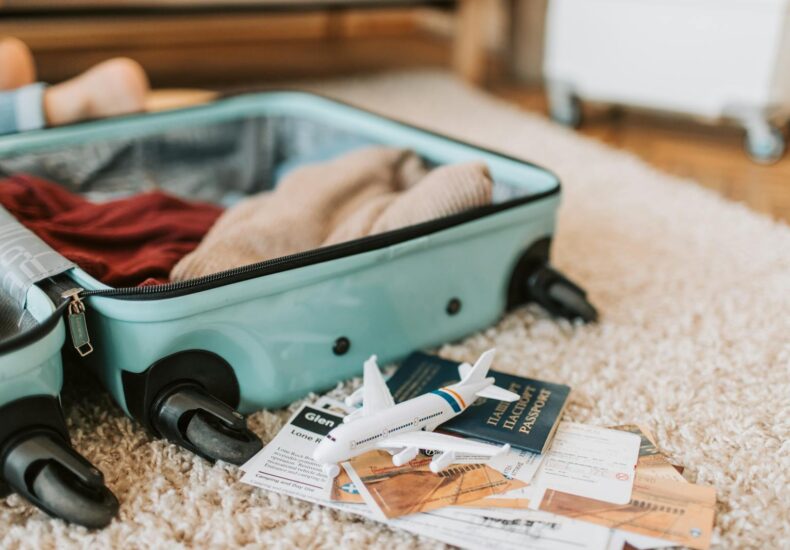 Black and Green Luggage Bag on Brown Carpet