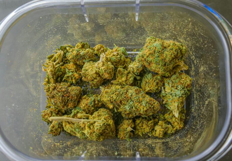 Photo of Cannabis Flowers on Glass Container