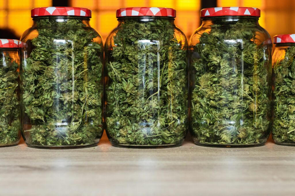 Cannabis buds in jars on table