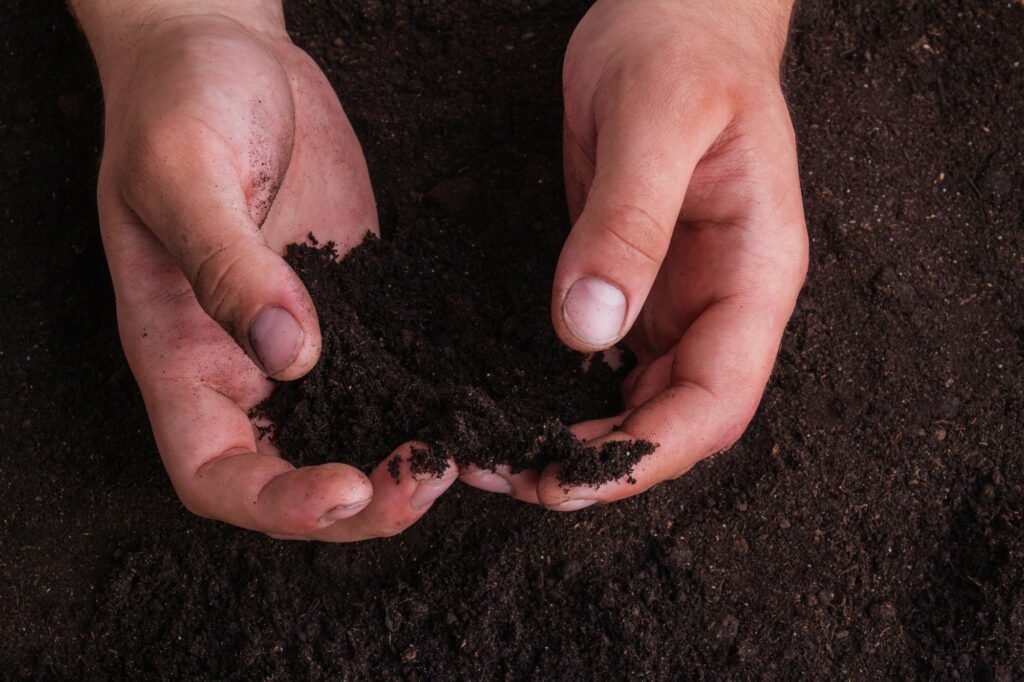 Soil: The Go-To of Cannabis Cultivation