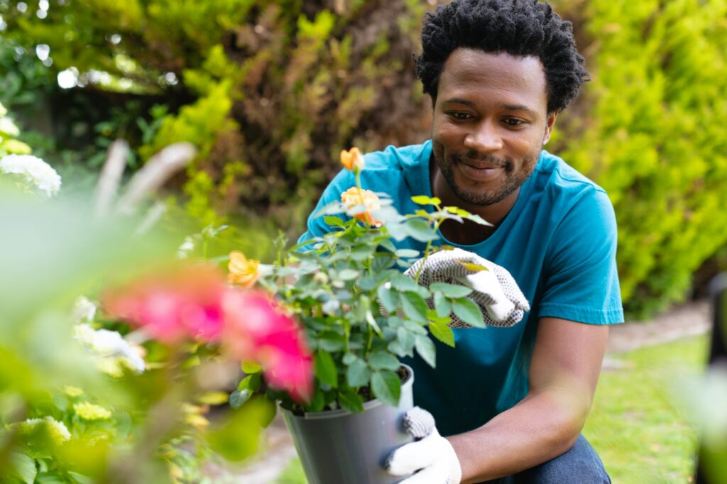 Smiling young african american man holding potted plant while gardening in backyard - cannabis companion planting