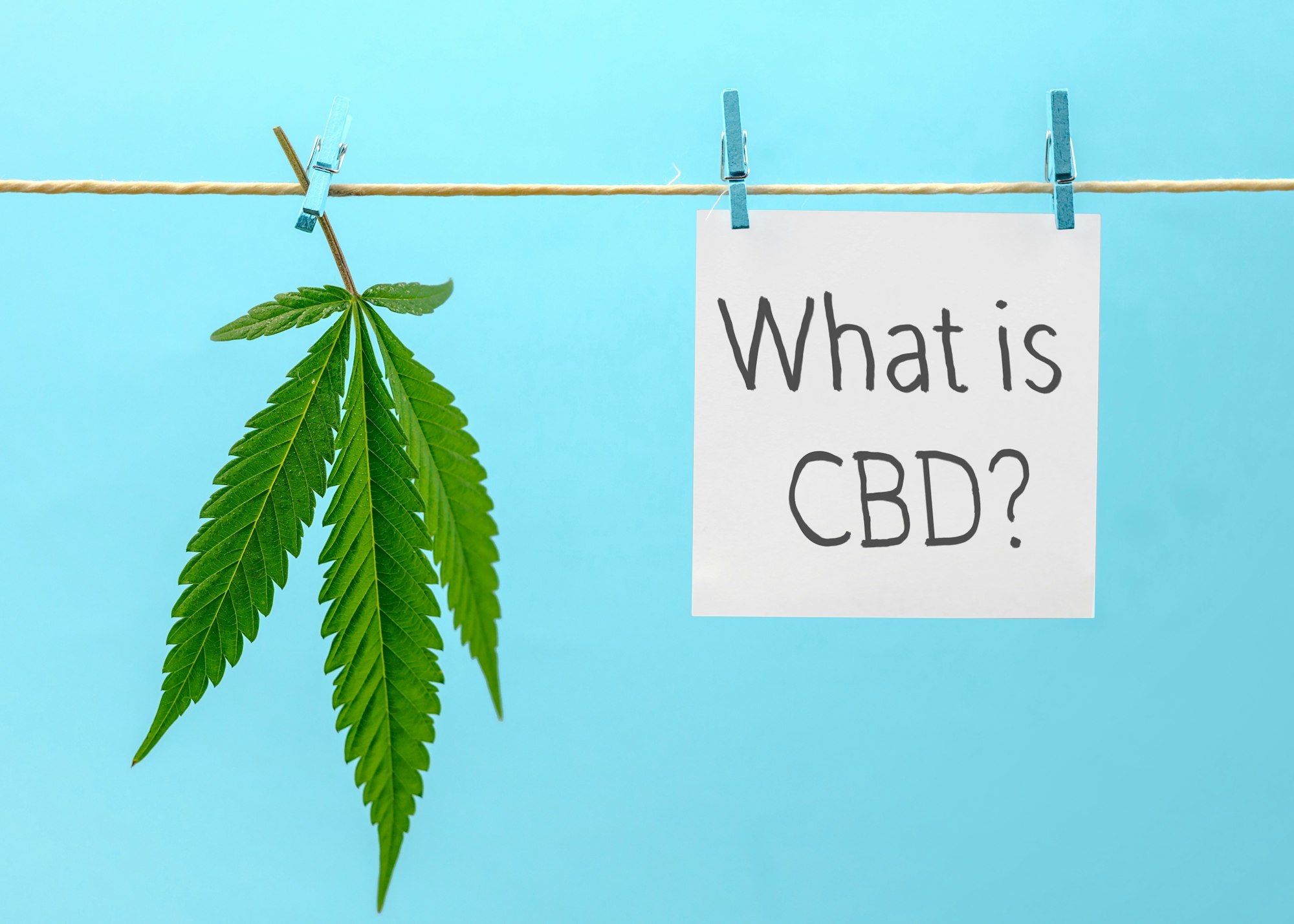 What is cbd note on rope with cannabis leaf